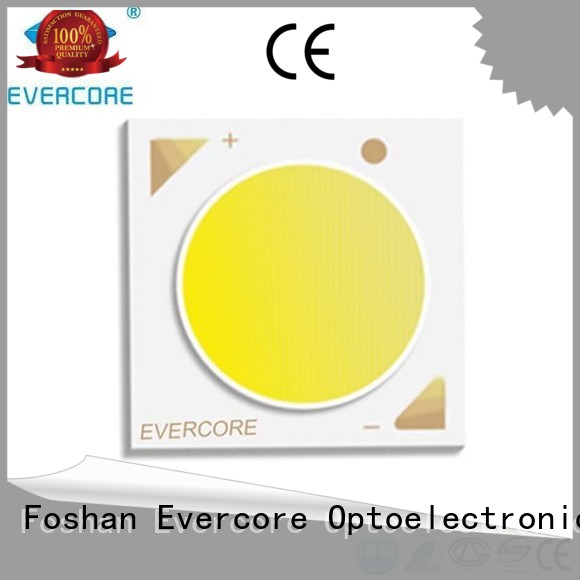 Custom lighting rgb cob led Universal Evercore