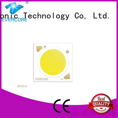 Evercore affordable led downlight kit factory for distribution