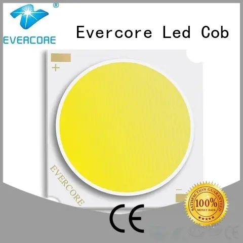 Evercore Brand cob led led commercial lighting cob manufacture