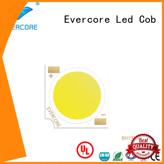 Evercore professional cob led light supplier for sale