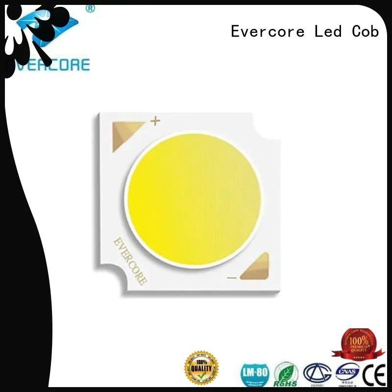 led full spectrum sunlight Evercore Brand best cob led grow light factory