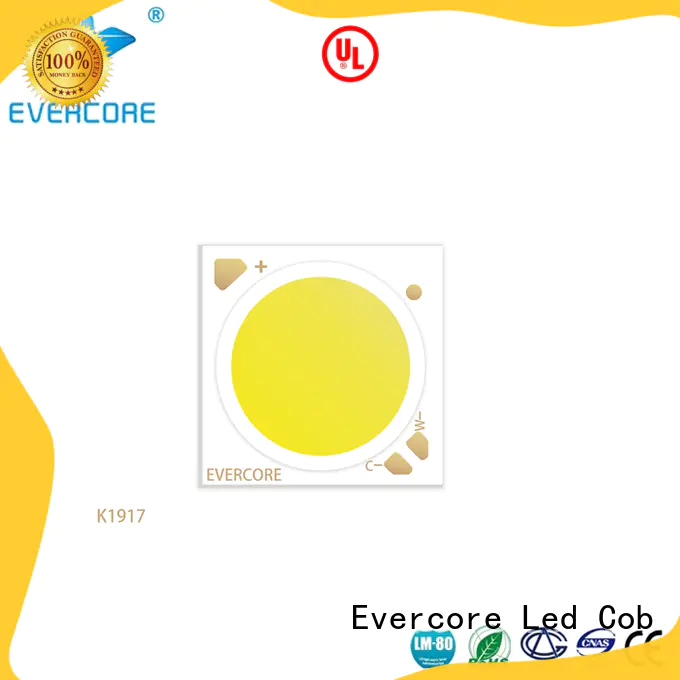 Evercore adjustable cob led module manufacturer for distribution