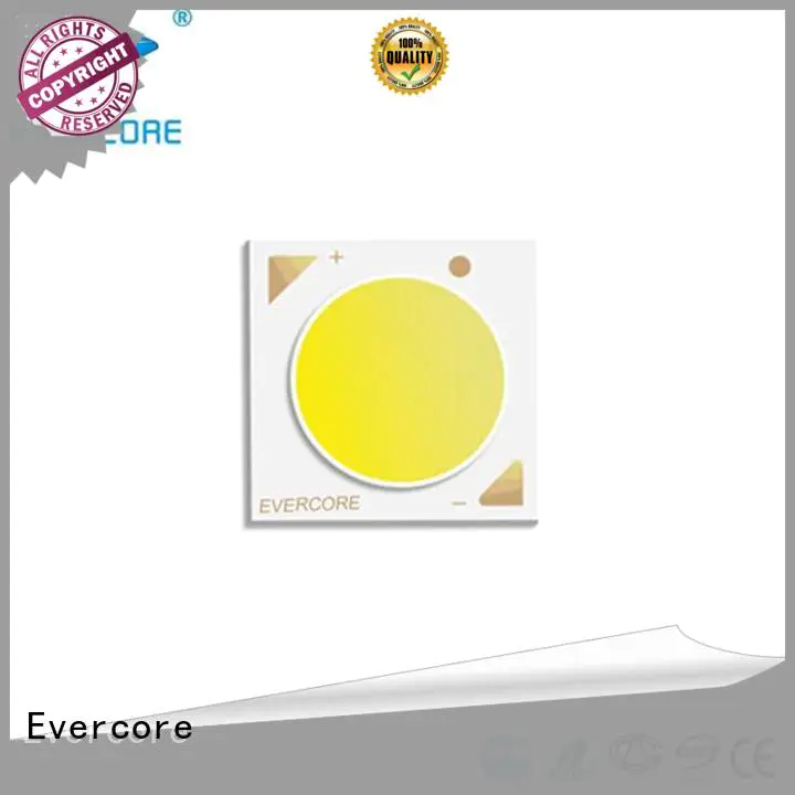 Evercore green rgb cob led supplier for sale
