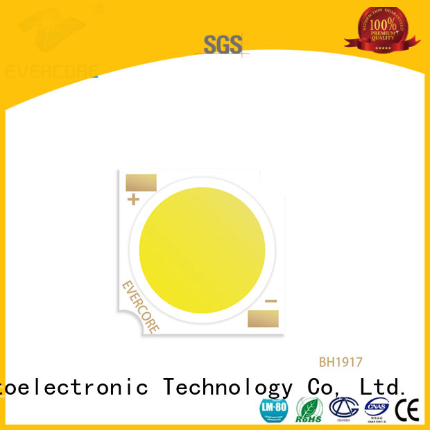 Evercore light Cob Led factory for distribution