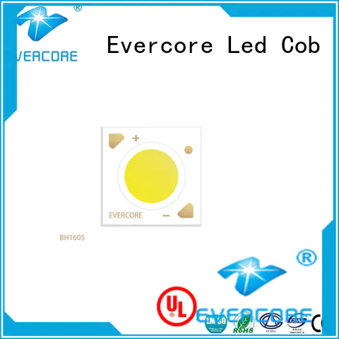 Evercore track downlight cob overseas market for market