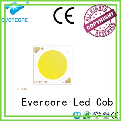 Evercore bh1917 led downlight kit customized for sale