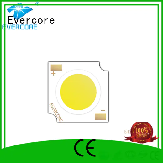 Evercore best smd led chip factory for sale
