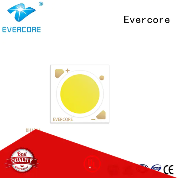 Evercore bh1816 downlight cob customized for distribution