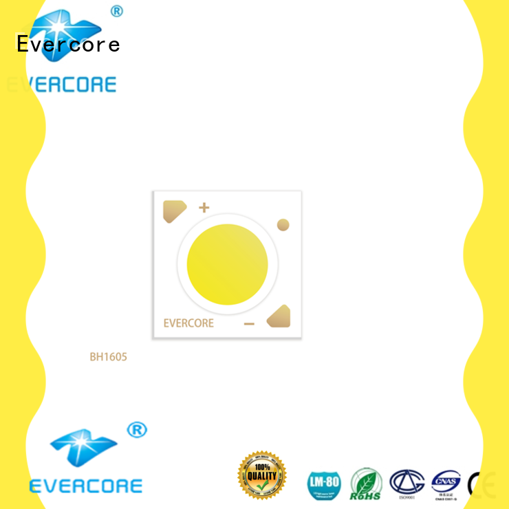 Evercore bh16105 led downlight kit factory for sale