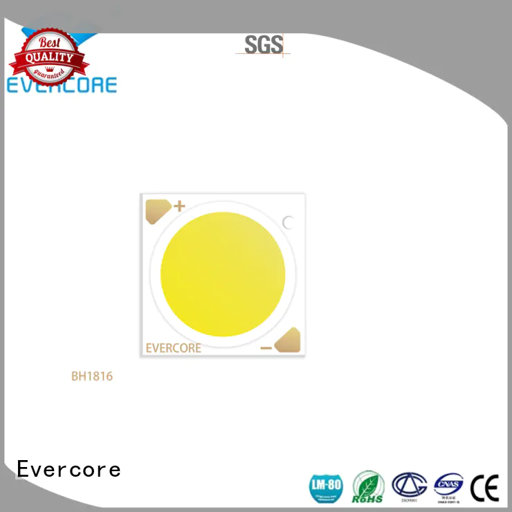 Evercore new downlight cob overseas market for sale