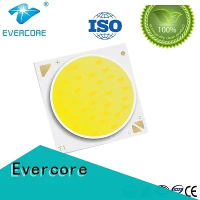 Evercore Brand led coloring led lights cob cob