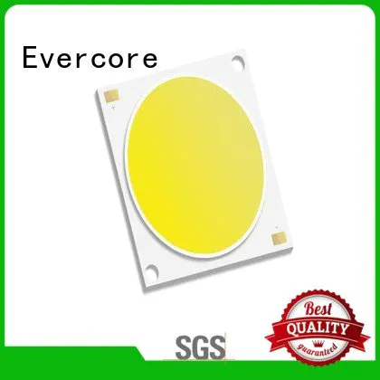 high lighting efficiency led cob modules Evercore