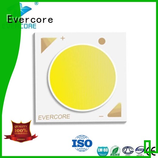 commercial  lighting cob leds 36W modules Evercore Brand company