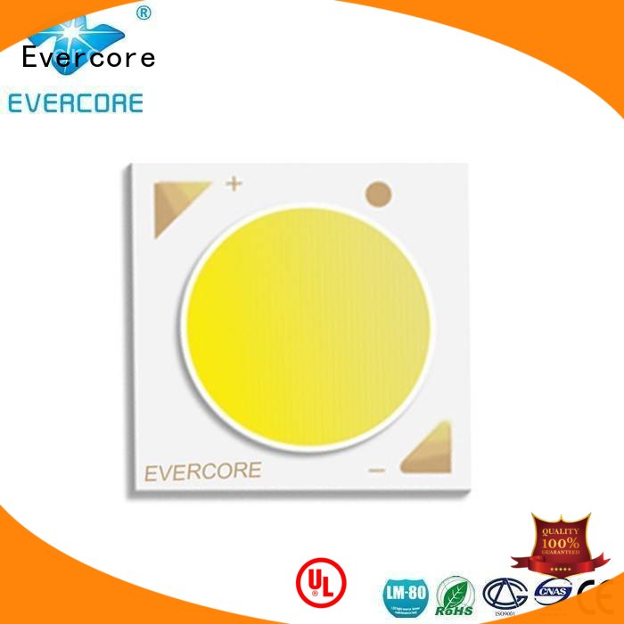 Evercore Brand High CRI Universal Cob Led Module manufacture