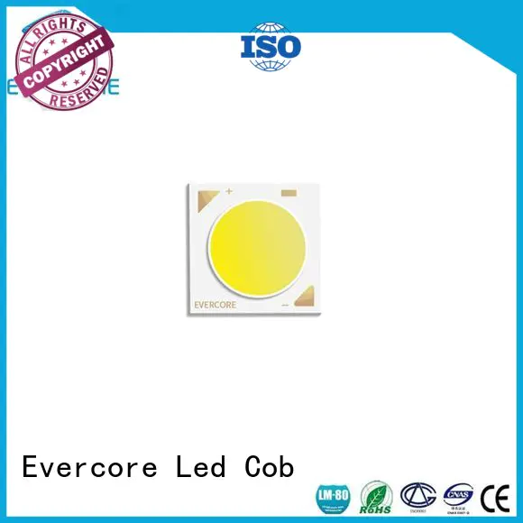 Evercore easy installation two color led supplier for wholesale