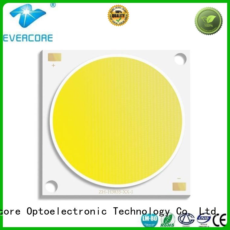 Evercore Brand modules Cold light led factory