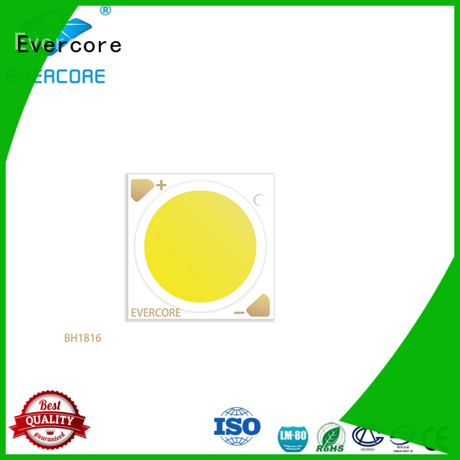 Evercore linear Cob Led factory for sale