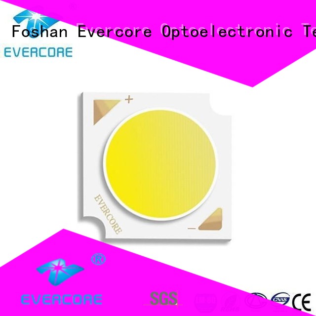 Evercore Brand LM-80 High CRI High lumens commercial  lighting cob leds led