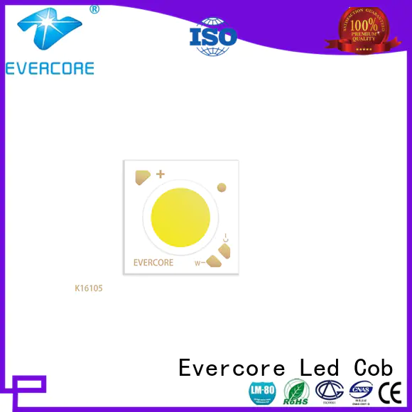 Evercore easy installation two color led supplier for wholesale