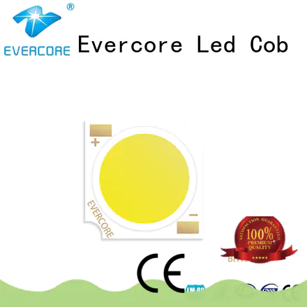 Evercore high quality cob led light manufacturer for sale