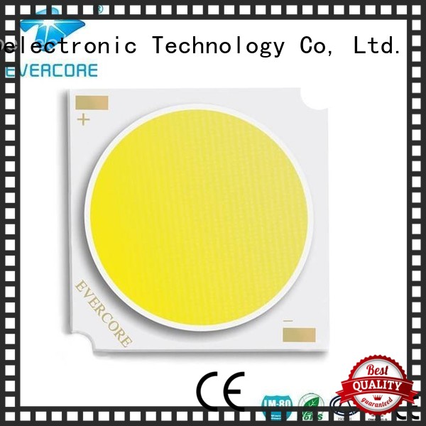 Evercore Brand modules color rgb cob led manufacture
