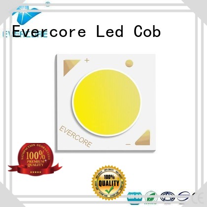 Evercore Brand 36W Universal Certified High CRI Cob Led Module