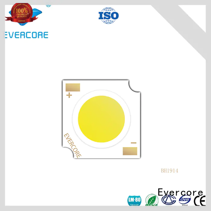Evercore bd13105 chip cob from China for dealer