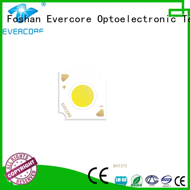 Evercore bd1917 smd led chip Asia company for reseller