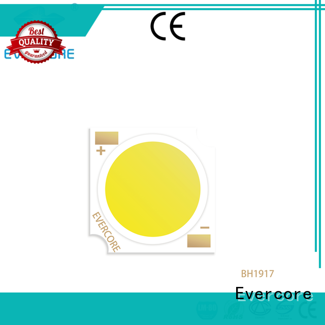 Evercore cob Cob Led factory for sale