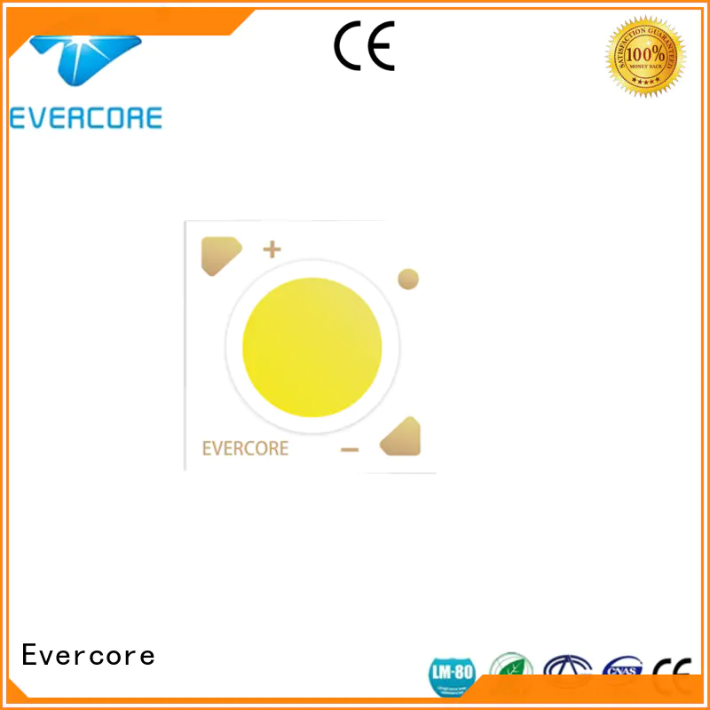 Low cost Cob Led light（ factory for lighting