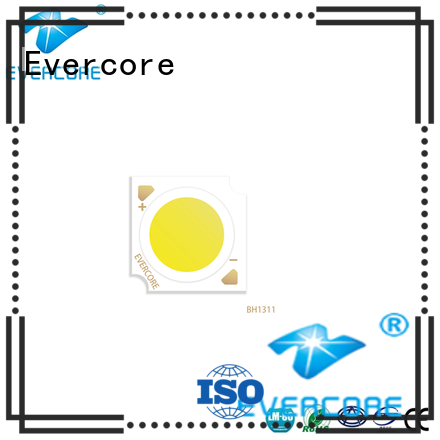 Evercore track Led Cob Chip supplier for distribution