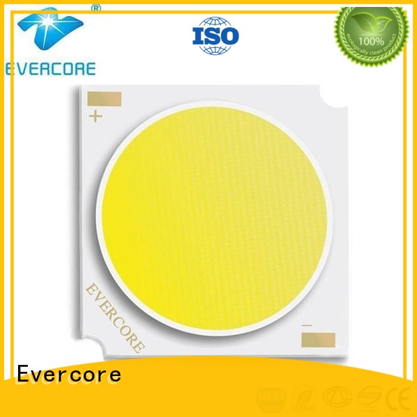 Evercore Brand LM-80 High CRI Cob Led Module manufacture