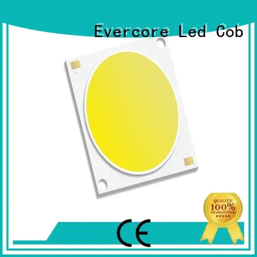 high lighting efficiency led cob Cold light Evercore Warranty cob
 led