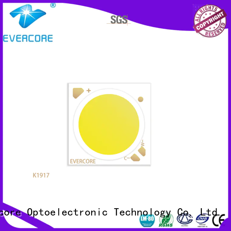 Evercore bk1914 2 color led supplier for sale