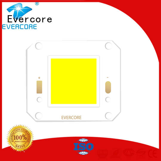 Evercore most popular outside lights exporter for importer