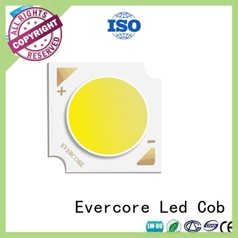 Evercore 3w5w Cob Led manufacturer for sale