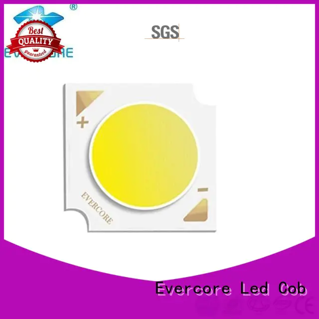 Evercore bh16105 Led Cob Chip manufacturer for lighting