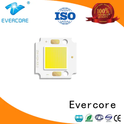 Evercore tunnel outside lights from China for importer