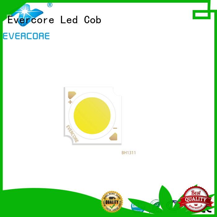 Evercore Low cost rgb cob led factory for lighting