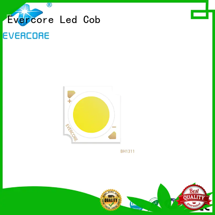 Evercore cheap Led Cob Chip supplier for lighting