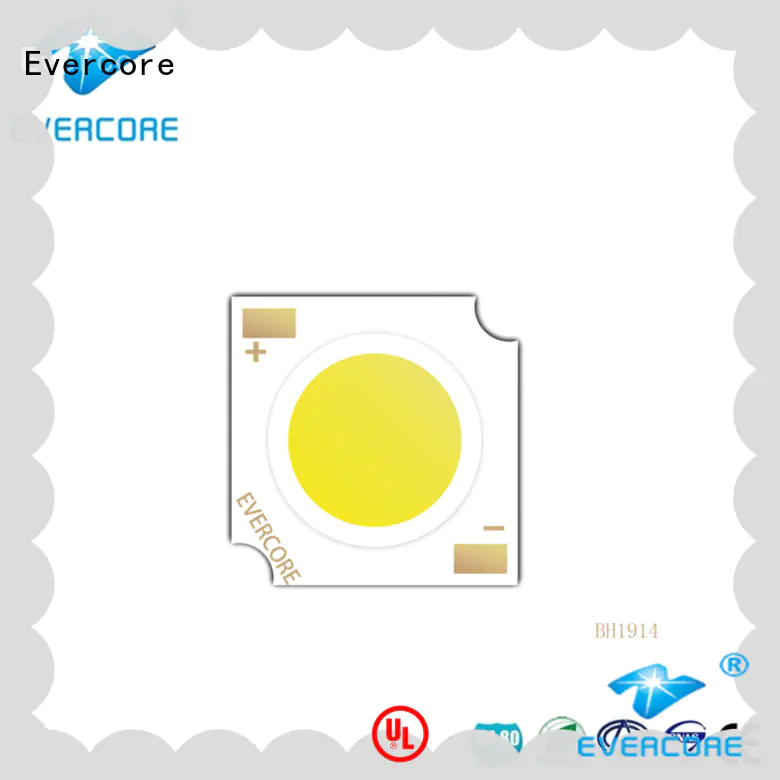 Evercore fc66200 chip cob from China for dealer