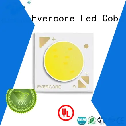 Evercore Brand cob led coloring led lights led supplier