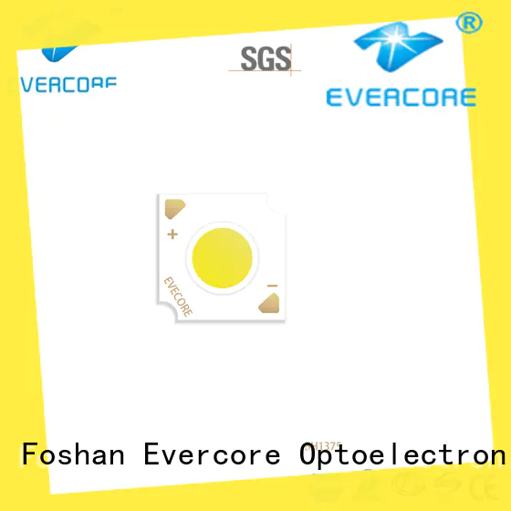 Evercore stable supply chip cob Asia company for dealer