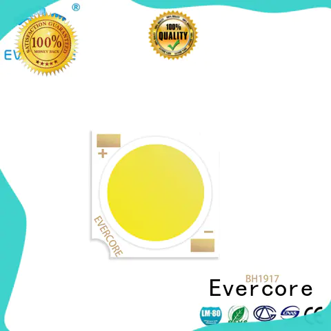 Evercore high quality cob led light manufacturer for sale