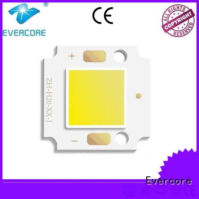 Quality Evercore Brand high lighting efficiency cob led
