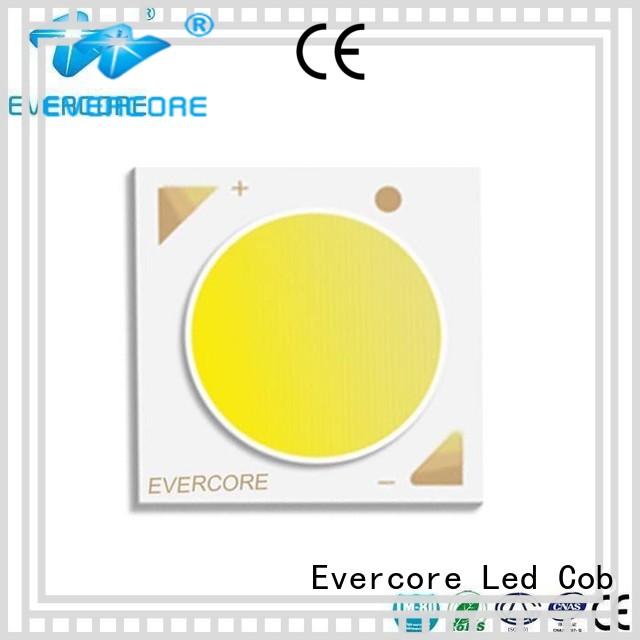 downlight led cob Universal certified led Evercore Brand