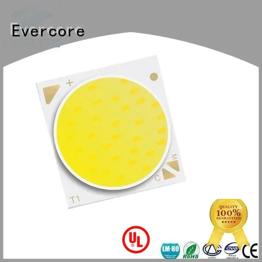 Hot coloring led lights cob Evercore Brand