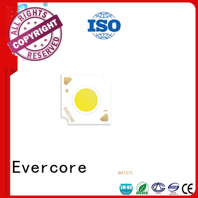 Evercore Low cost rgb cob led factory for sale
