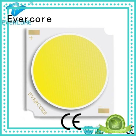 Wholesale LM-80 High lumens Cob Led Module Evercore Brand