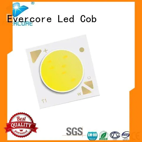 Evercore Brand led cob cob coloring led lights cob
 led